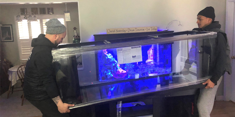 AQUARIUMS & FISH TANKS